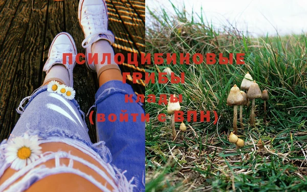 MESCALINE Видное