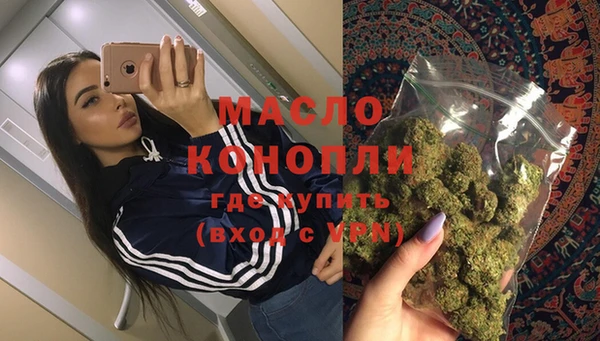 таблы Бородино