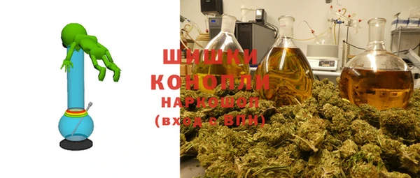 таблы Бородино