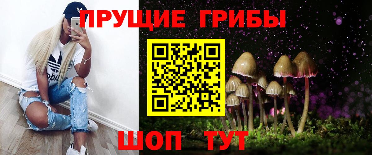 Галлюциногенные грибы Psilocybe Гатчина